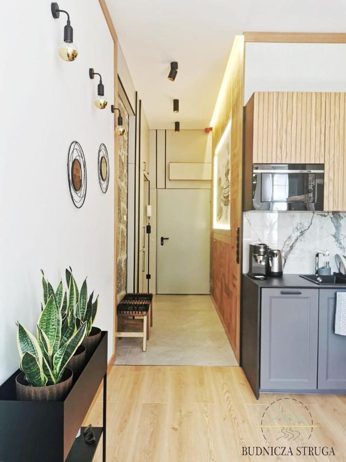 Apartament Budnicza Struga Z Sauna I Parkingiem - 5D Apartamenty Karpacz Extérieur photo